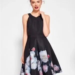 Ted Baker Jelina Chelsea Skater Dress 3 M